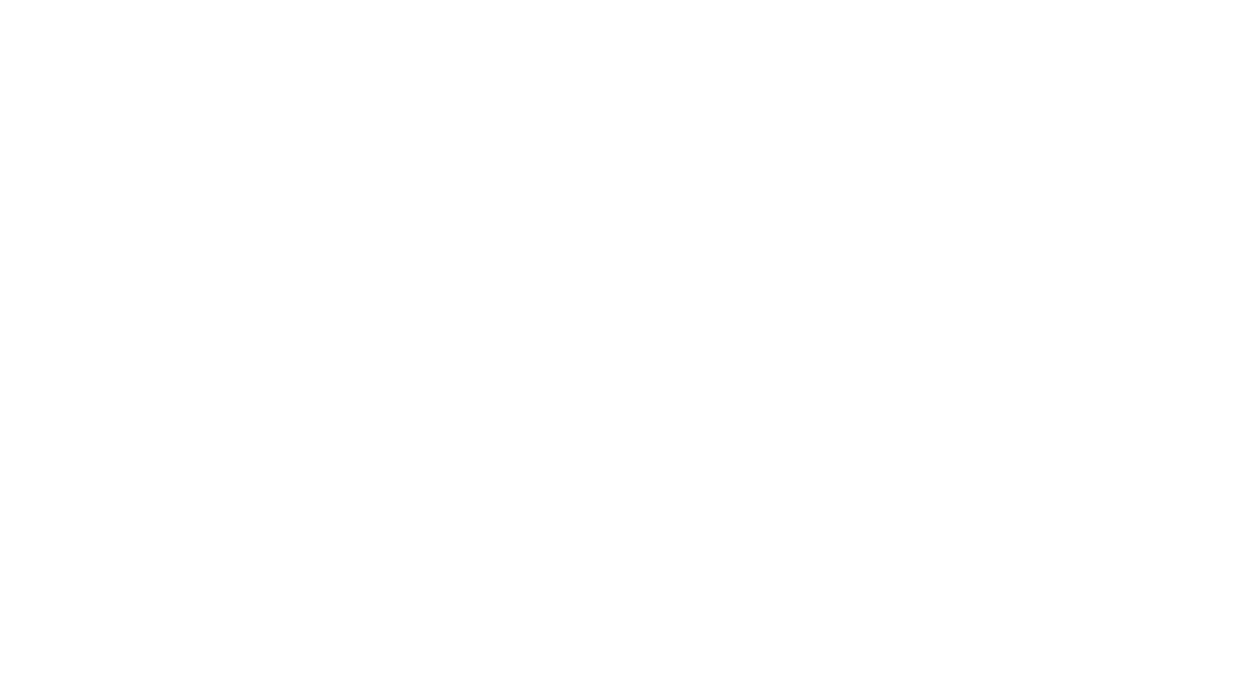 ProxyFlash